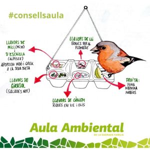 #consellsaula_menjadores