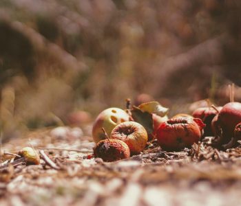 joshua-hoehne-Z7W72btGla0-unsplash